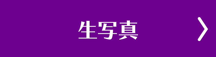 生写真